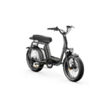Elwing Ritmic Duo vélo électrique cargo biplace – Image 7