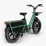Fiido T2 Vélo électrique Longtail Fatbike Cargo – Bild 3