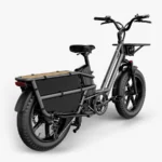Fiido T2 Vélo électrique Longtail Fatbike Cargo – Bild 2