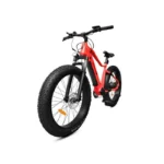 Vélo électrique YEEP.ME HOLIDAY Fat Bike 26" – Bild 4
