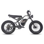 FAFREES F20 ULTRA 750W 20" Fat Bike E-Mountain Bike 48V 25Ah LG Batterie E-MTB – Bild 5